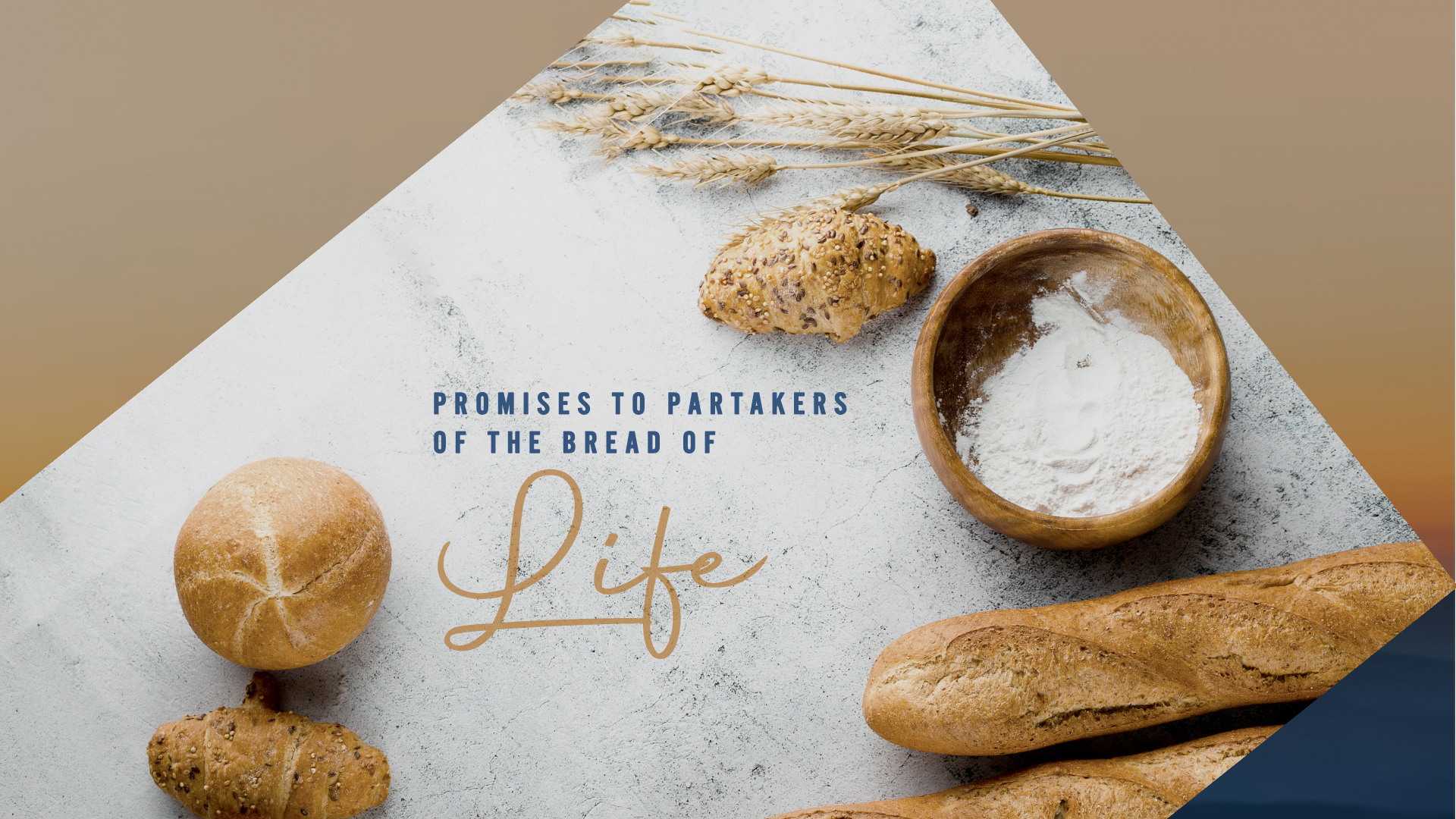 Weekly Devotionals - 16 June 2025