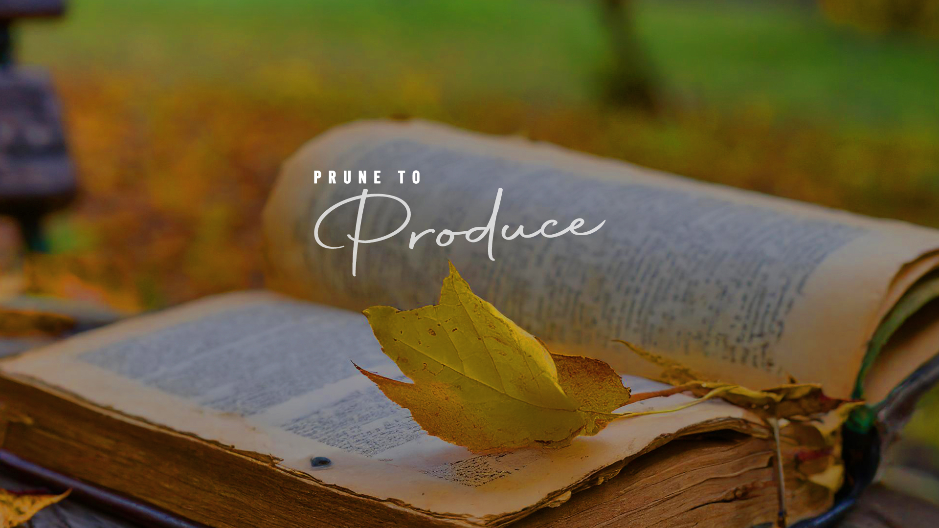 Weekly Devotionals - 30 June 2025