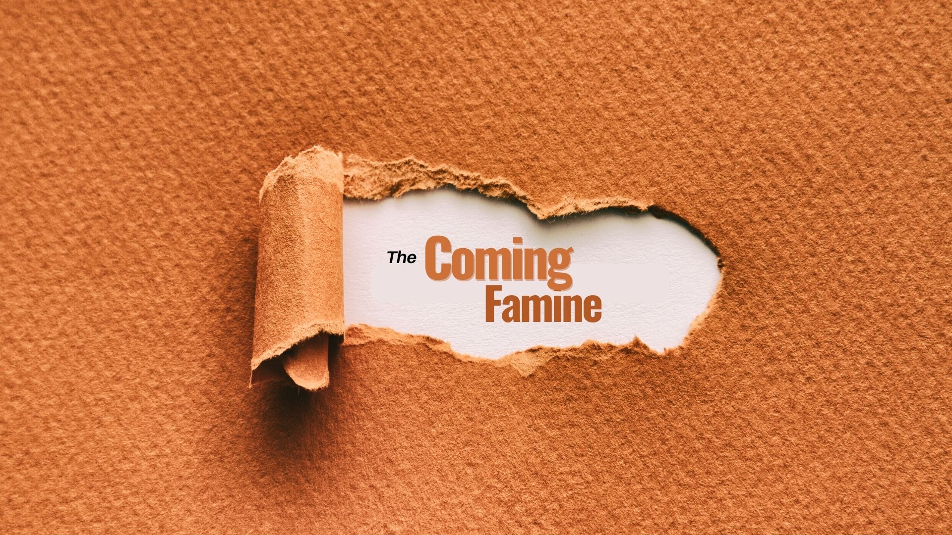 251122 Lightdevo To St